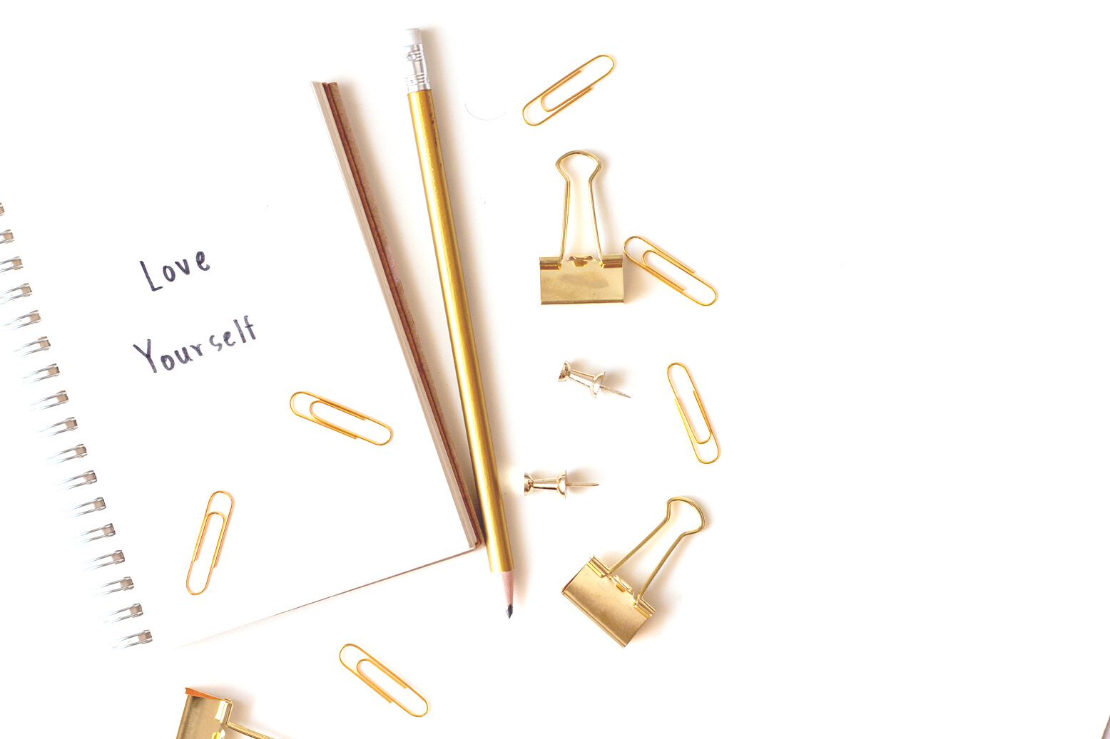 Notebook with Gold Clips 